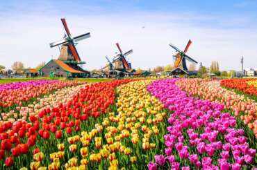 Vakantieparken in Nederland